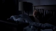 Сцена из фильма ужасов Бабадук (The Babadook 2014), когда мама мастурбировала с помощью вибратора, а ей помешал сынок, который неожиданно забежал в комнату